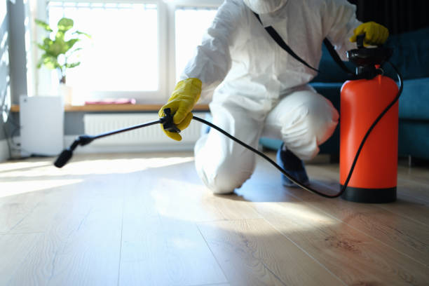 Reliable Odor Removal contractor in Goffstown, NH by Trauma Clean Pros